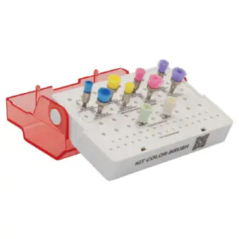 KIT PARA PROFILAXIA COLOR-BRUSH - AMERICAN BURRS