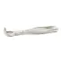 FORCEPS ADULTO N68 - GOLGRAN - Imagem: 1